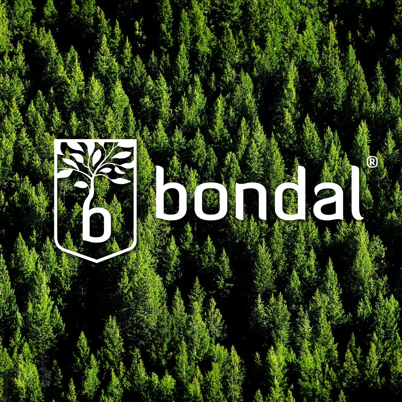 Logo from the folio